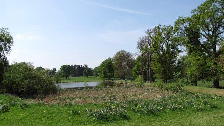 A view over the lake at Packwood, Warwickshire